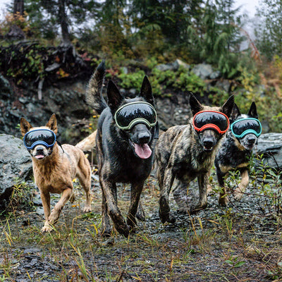 Breathable Dog Goggles